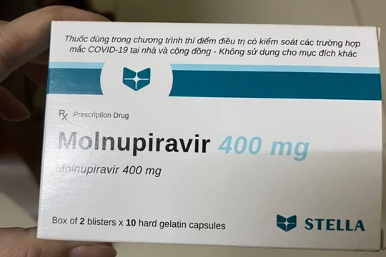 Thuốc Molnupiravir (Ảnh - T.H)