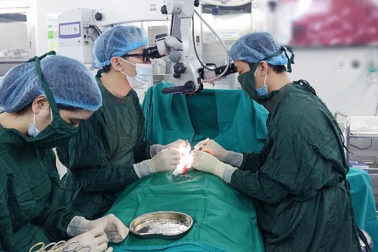 Các bác sĩ của Bệnh viện Nam học và Hiếm muộn Hà Nội phẫu thuật vi phẫu tinh hoàn tìm tinh trùng – Micro TESE (Ảnh - BVCC)