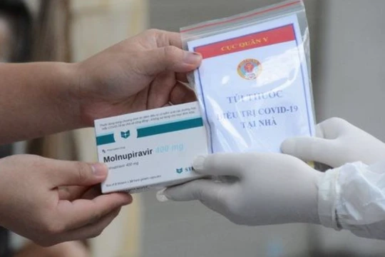 Thuốc Molnupiravir (Ảnh - ST) 