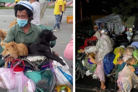 Hình ảnh cặp vợ chồng chở 15 chú chó từ Long An về Cà Mau được chia sẻ trên mạng xã hội (Ảnh - FB) 