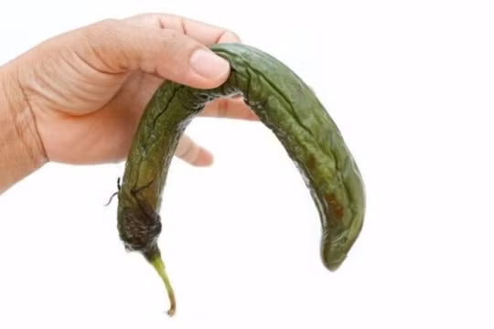 Khả năng "cương cứng" của cậu nhỏ ảnh hưởng không nhỏ đến đời sống vợ chồng và hạnh phúc gia đình (Ảnh minh hoạ) 