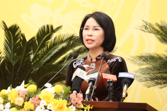 Bà Trần Thị Nhị Hà - Giám đốc Sở Y tế Hà Nội (Ảnh - HĐND TP. HN) 