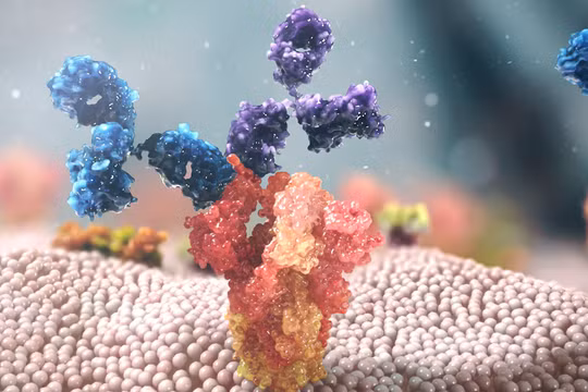 Ảnh minh hoạ cơ chế hoạt động của Evusheld (nguồn - Astrazeneca) 