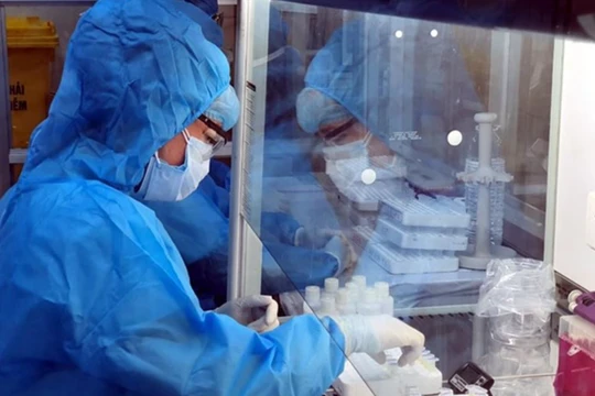 Nhân viên y tế làm việc trong phòng xét nghiệm Covid-19 (Ảnh - BYT) 