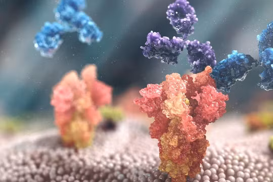 Liệu pháp kháng thể AZD7442 của AstraZeneca (Ảnh - AstraZeneca)