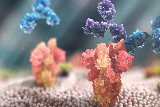 Liệu pháp kháng thể AZD7442 của AstraZeneca (Ảnh - AstraZeneca)