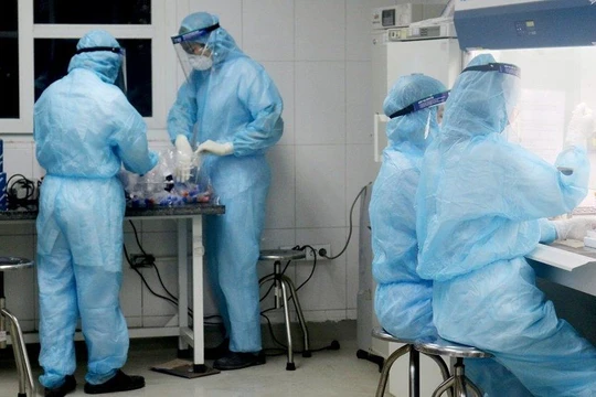 Nhân viên y tế làm việc trong phòng xét nghiệm COVID-19 (Ảnh - Ngọc Nga) 