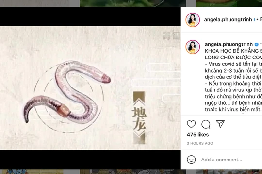 Angela Phương Trinh quảng cáo địa long chữa được COVID-19 trên instagram (Ảnh - VT) 
