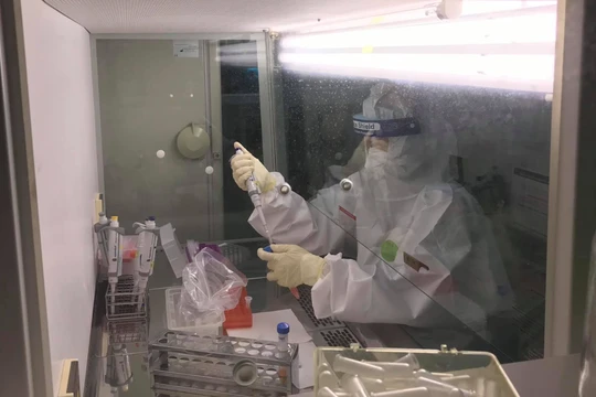 Nhân viên y tế lấy mẫu xét nghiệm COVID-19 (Ảnh - BYT) 