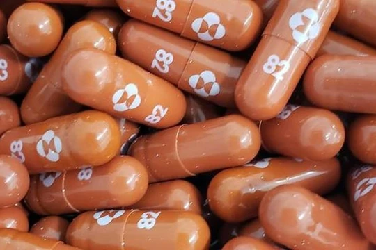 Thuốc Molnupiravir (Ảnh - Reuters)