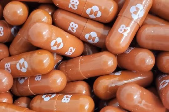 Thuốc Molnupiravir (Ảnh - Reuters)