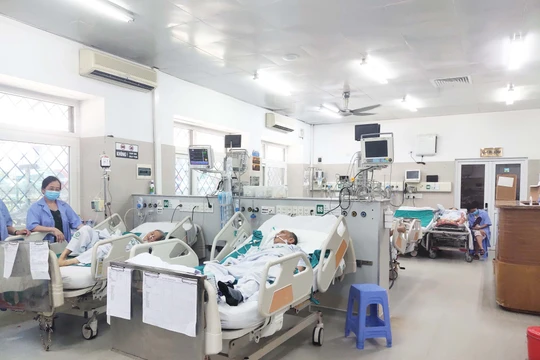 Bộ Y tế đề nghị các địa phương tăng cường khám chữa bệnh trong dịp Tết Nguyên đán Giáp Thìn 2024