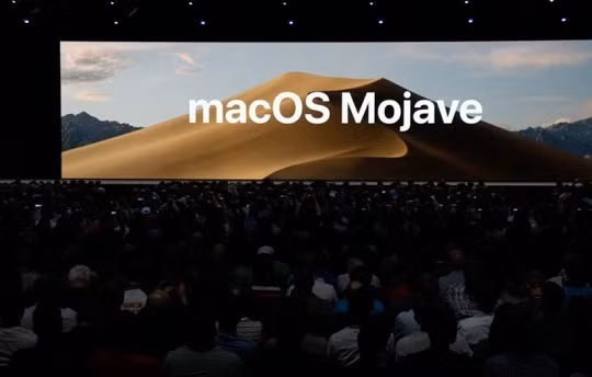 Ảnh: Business Insider 