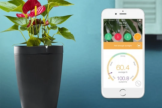 Ảnh: Techmundo.com.br