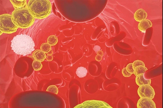 Ảnh minh họa (Futurism)