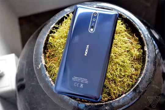 Nokia 8 (ảnh: The Verge)
