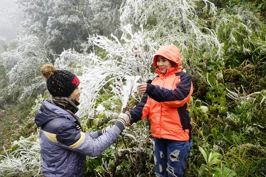 Nhiệt độ liên tiếp giảm thấp nên vùng núi cao trên 1.500m có thể xuất hiện băng giá. Ảnh minh họa: Vietnamnet.