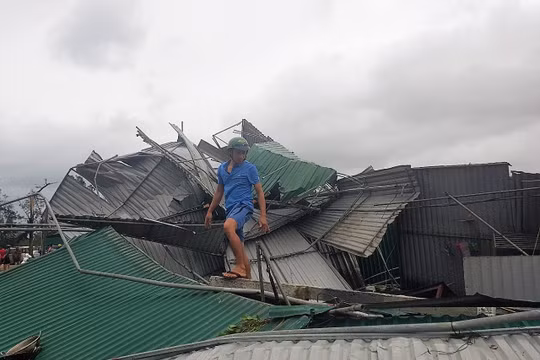 Ảnh minh họa: Zing