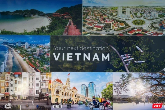 TP.HCM sẽ đón khách quốc tế dự kiến từ tháng 12/2021 và không yêu cầu cách ly sau nhập cảnh khi sử dụng hộ chiếu vaccine COVID-19