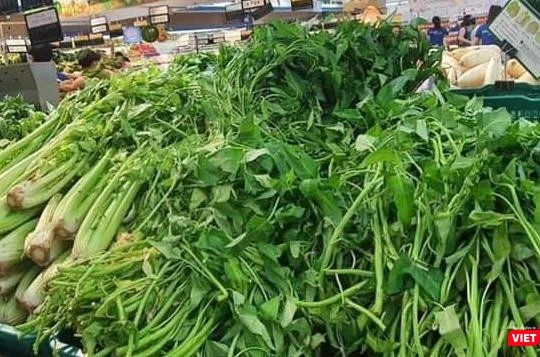 Nguồn cung ứng rau xanh và thực phẩm tươi sống cho TP.HCM bị thiếu trầm trọng trong những ngày vừa rồi - Ảnh: Hoà Bình 