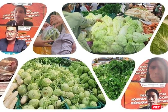 Thúc đẩy việc đưa nông sản thực phẩm tới tay người dân TP.HCM. 