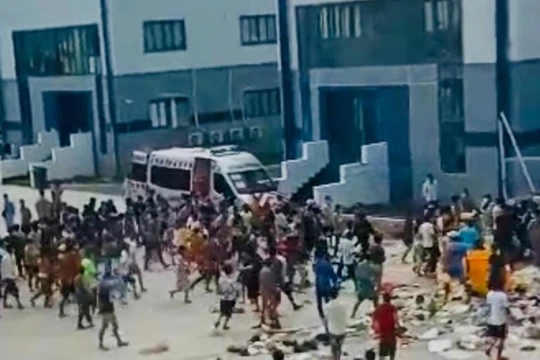 Cảnh F0 nháo nhào kéo nhau ra sân, chen lấn xô đẩy lấy thức ăn (ảnh cắt từ video)