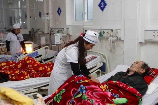 Ảnh minh họa. Nguồn: TTXVN