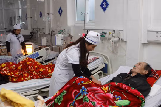 Ảnh minh họa. Nguồn: TTXVN