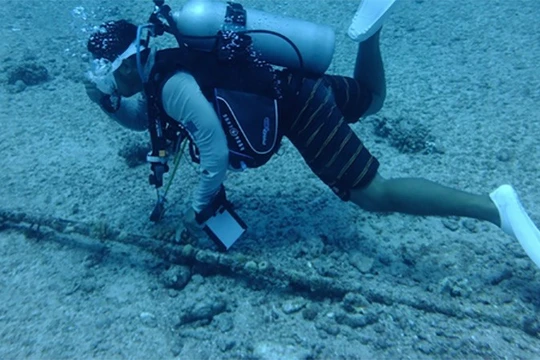 Ảnh minh họa. Nguồn: Người đưa tin.