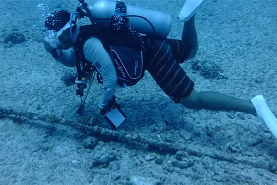 Ảnh minh họa. Nguồn: Người đưa tin.