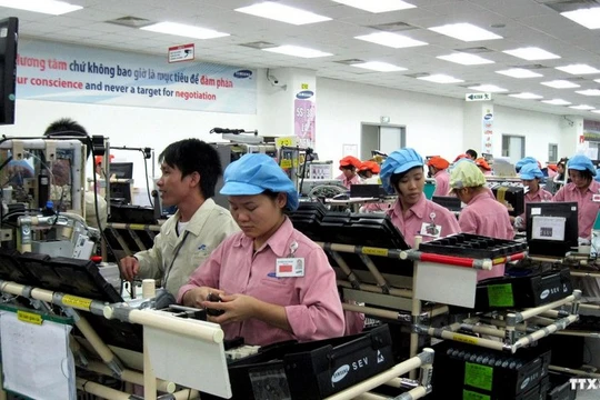 Ảnh minh họa: SDV