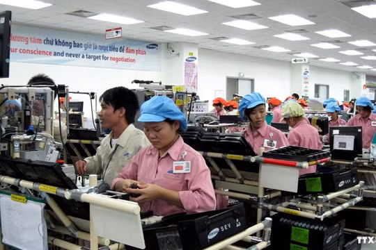 Ảnh minh họa: SDV