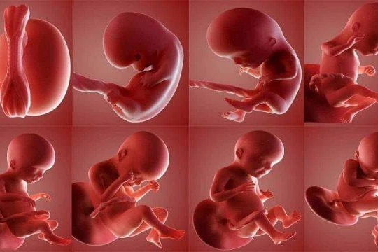 Nguyên nhân gây nên dị tật bẩm sinh hiếm gặp ở trẻ em