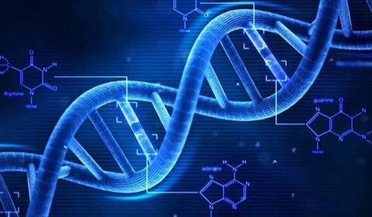 Minh họa trình tự bộ gen người