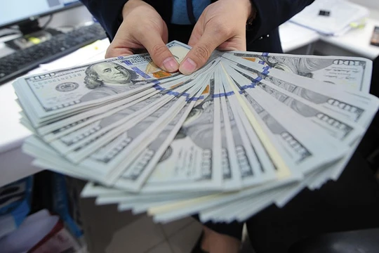 Ảnh minh họa (Nguồn: Internet)