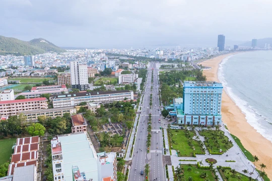 Ảnh minh họa (Nguồn: binhdinhinvest.gov.vn)