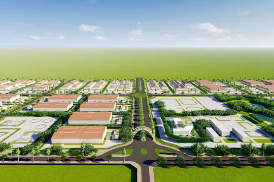 Ảnh minh họa (Nguồn: rimland.vn)