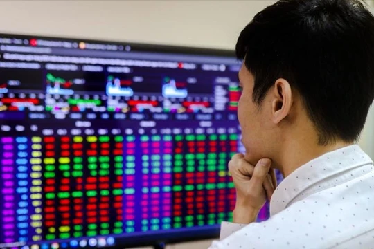 Các công ty chứng khoán ưa thích nhóm ngành, cổ phiếu nào trong năm 2024?