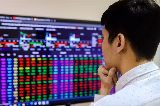 Các công ty chứng khoán ưa thích nhóm ngành, cổ phiếu nào trong năm 2024?