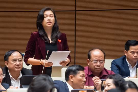 'Giảm tỉ lệ sở hữu tại ngân hàng khó ngăn tái diễn vụ việc như SCB'