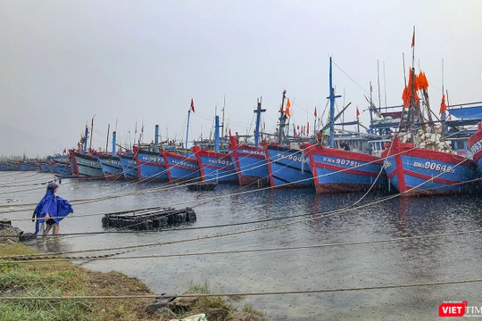 Tàu thuyền về neo đậu tại âu thuyền Thọ Quang (Đà Nẵng) để tránh bão số 5