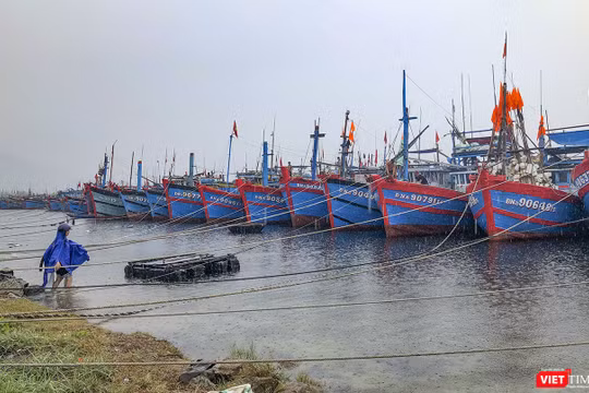Tàu thuyền về neo đậu tại âu thuyền Thọ Quang (Đà Nẵng) để tránh bão số 5