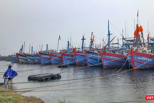 Tàu thuyền vào neo đậu tránh bão tại âu thuyền Thọ Quang (Đà Nẵng)