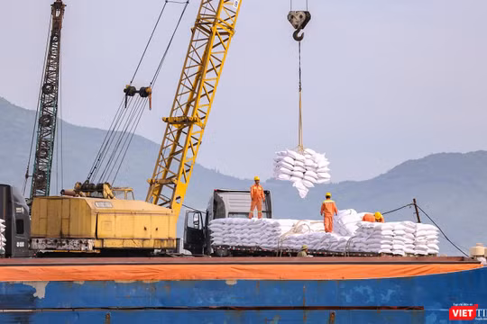 Hàng hoá đang được xếp dỡ tại Cảng Tiên Sa (Đà Nẵng)