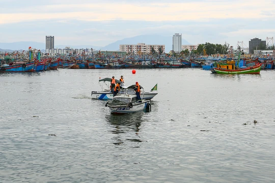 Lực lượng bộ đội biên phòng kêu gọi tàu thuyền neo đậu an toàn tại ân thuyền Thọ Quang (Đà Nẵng)