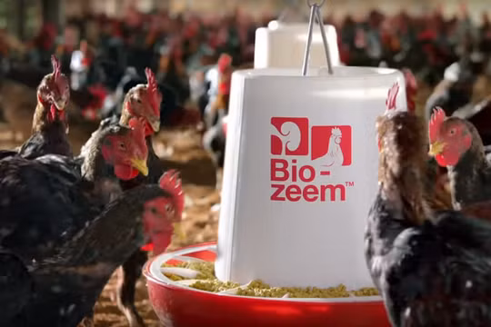 Masan Group muốn huy động 1 tỷ USD cho mảng thức ăn chăn nuôi