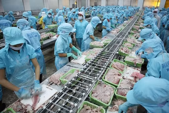 Xuất khẩu thủy sản đang thực sự khó khăn