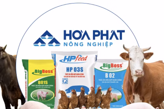 Vì sao “tân binh” IPO Nông nghiệp Hòa Phát được định giá cao nhất ngành?