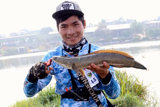 Câu được cá lóc