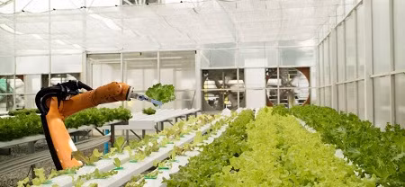 Robot số 1 làm nhiệm vụ nhặt khay cây.